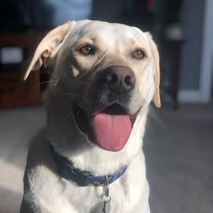 Meet your Posher, Jess